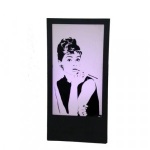 Panel - Audrey Hepburn