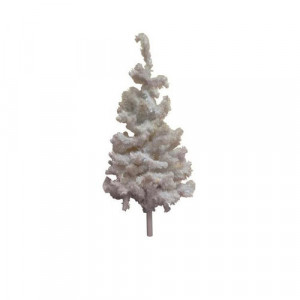 White Xmas Trees