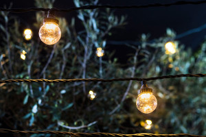 Festoon Lighting