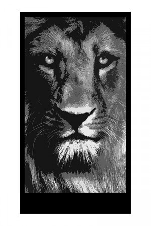 Lion back lit panel