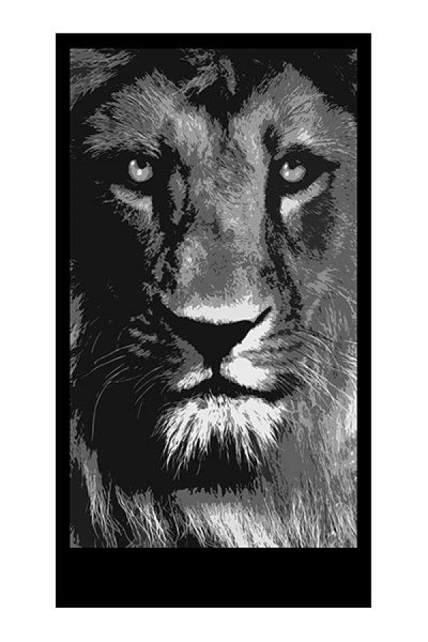 Lion back lit panel