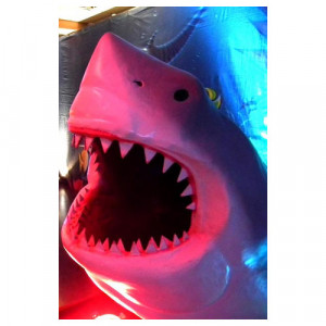 3D Shark head