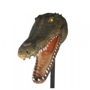 Crocodile Head 3D