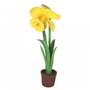 Oversized Daffodill