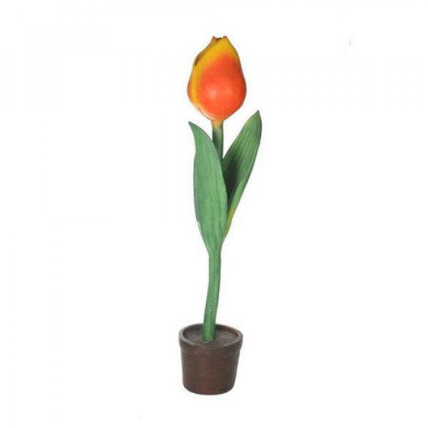 Oversized Tulip